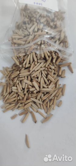 Семена адениума