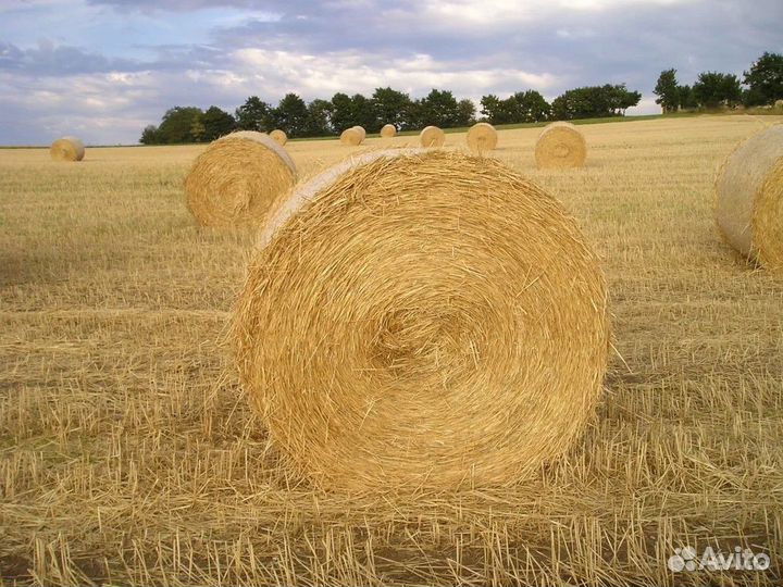 Солома в рулонах