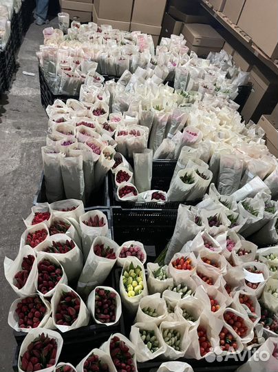 Тюльпаны к 8 марта оптом розница букеты