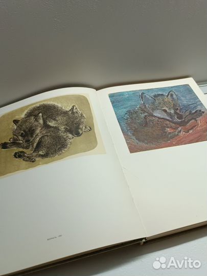 Книга Мир Чарушина 1980 год