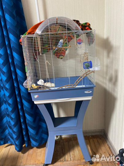 Клетка имак iMac