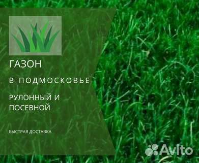 Рулонный газон