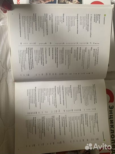 Энциклопедия Собаки