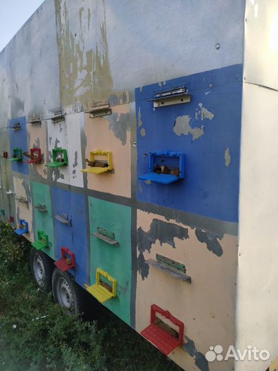 Прицеп пчелоприцеп