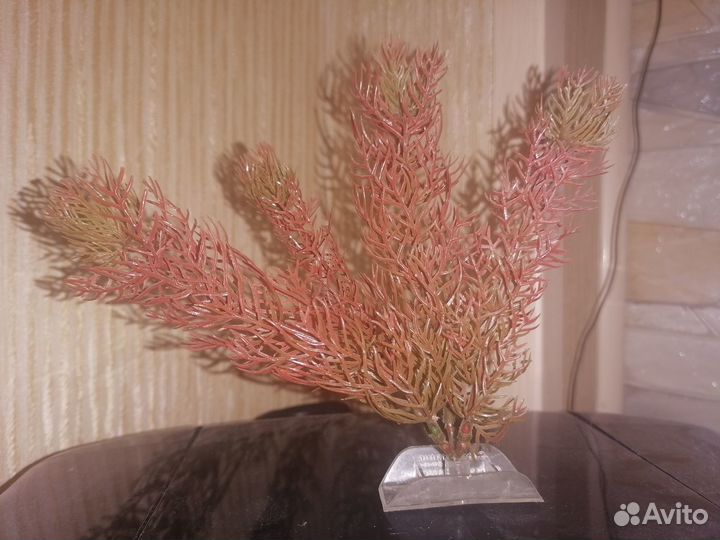 Декарация для аквариума