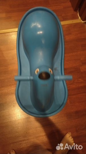 Равновесие тюлень