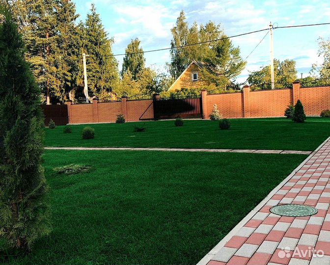 Рулонный газон