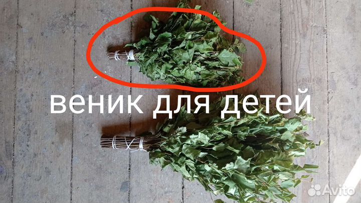 Свежие веники