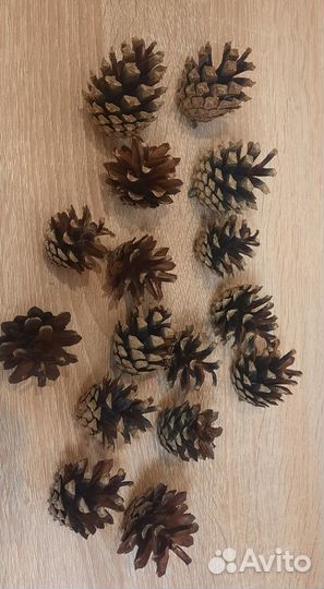 Шишки сосновые натуральные