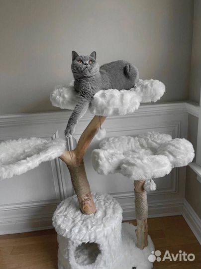 Когтеточка домик для кошки