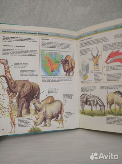 Книги для детей