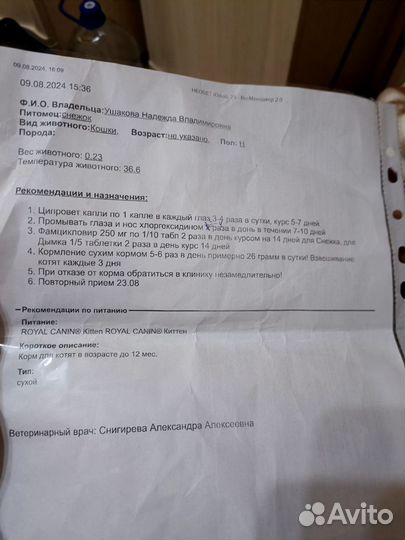 Котята (м/м) В добрые руки
