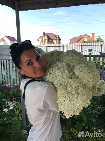 Букет из гортензий