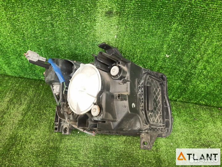 Фара передняя левая nissan stagea