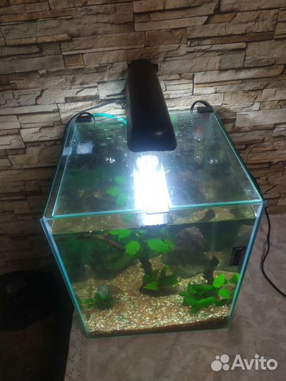 Аквариум