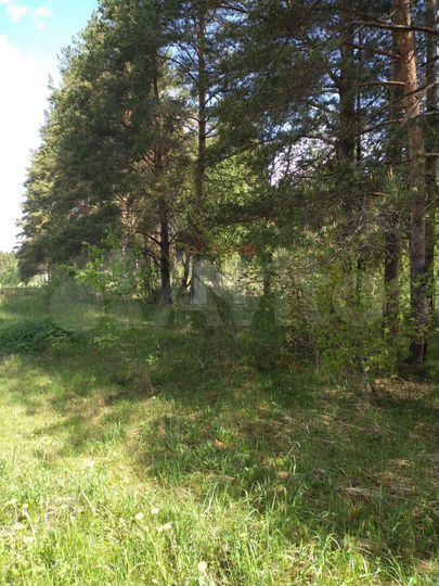 Участок 2,13 га (СНТ, ДНП)