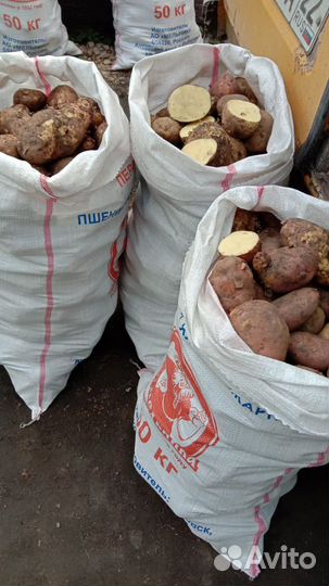 Продам картофель с доставкой