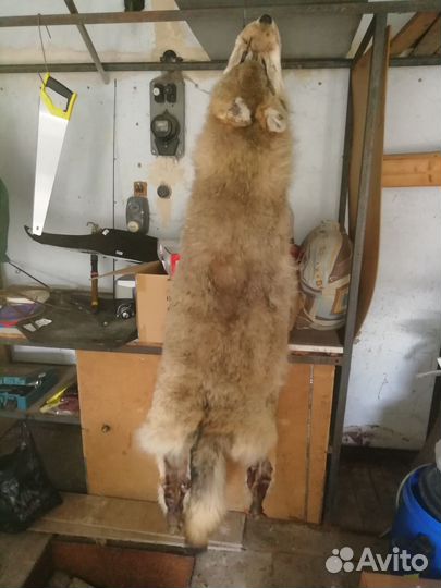 Шкура волка. Имитация