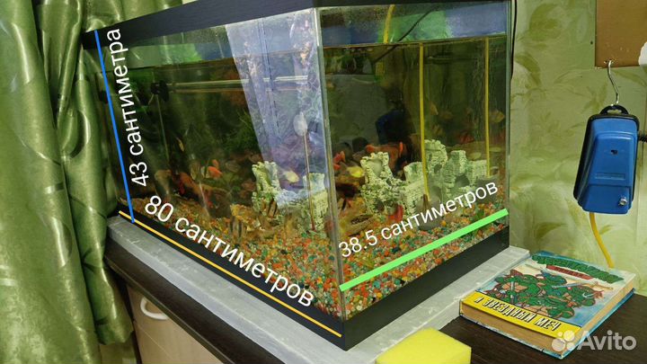 Аквариум