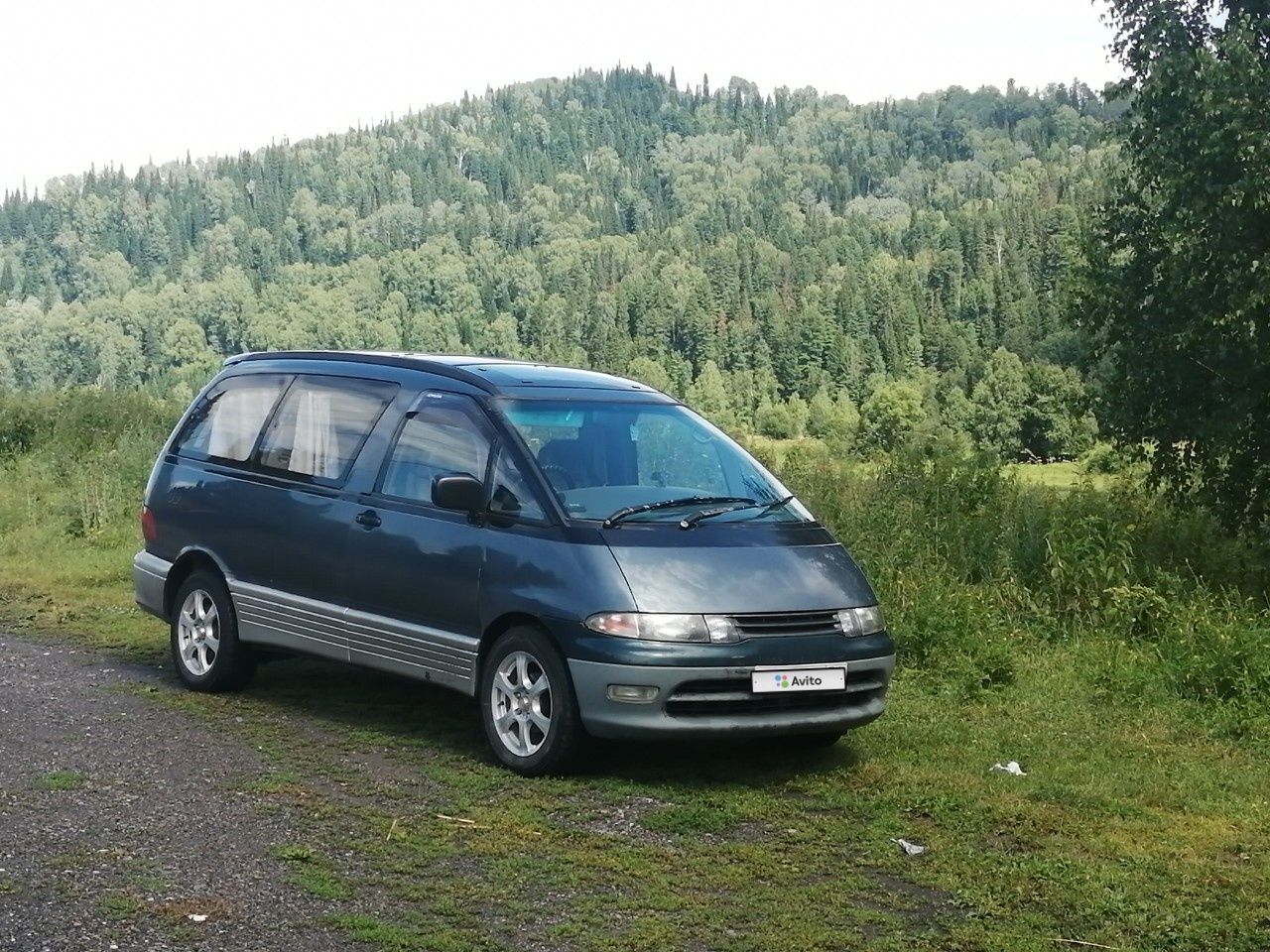 Toyota Estima: фото владельца