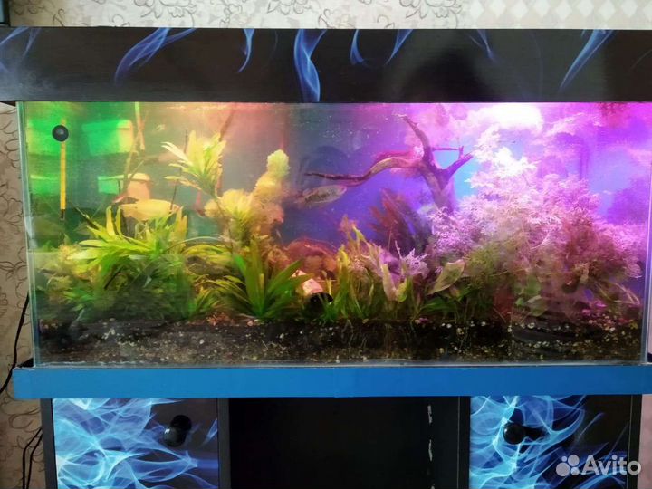 Аквариум