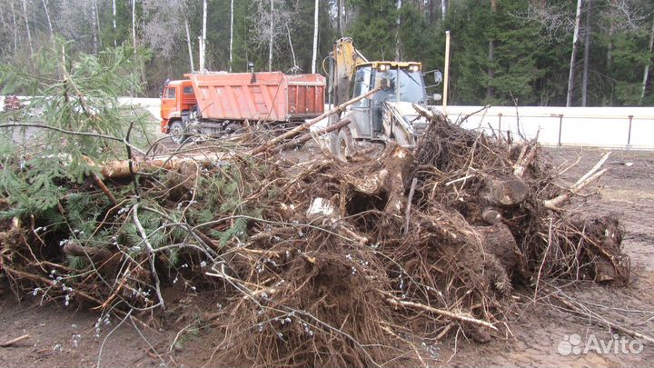 Уборка участка, расчистка участка от деревьев