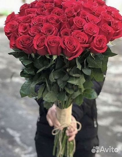 Розы Высокие 150см 160см 170см 180см 190см 2м