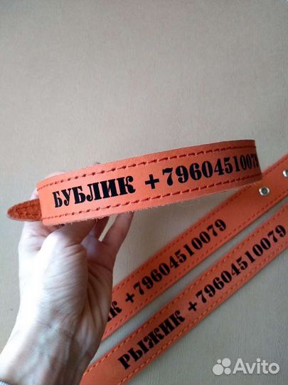 Адресные ошейники