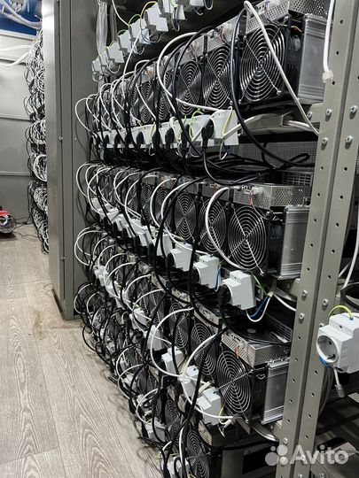 Майнинг отель / Хостинг / Размещение Асиков