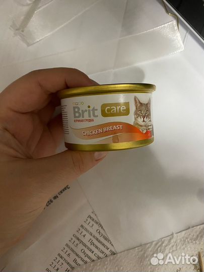 Корм для кошек консерва brit care с курицей
