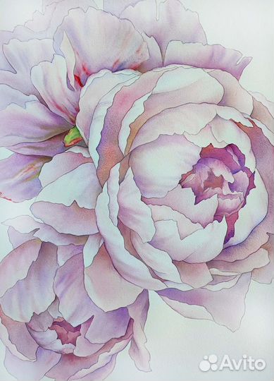 Онлайн-курс по рисованию акварелью 