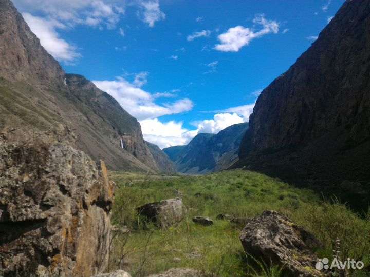 Авто тур по Горному Алтаю сезон 2024г