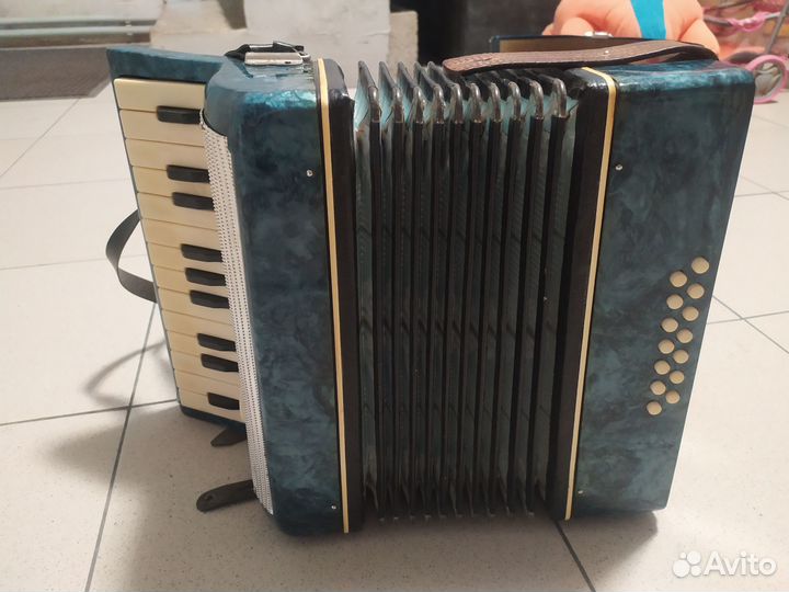 Аккордеон детский