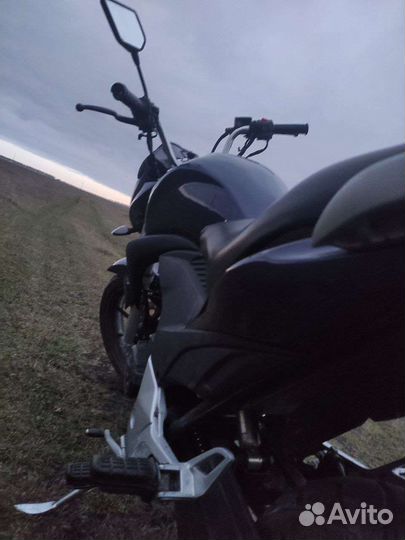 Winner 250/Stels Flex 250