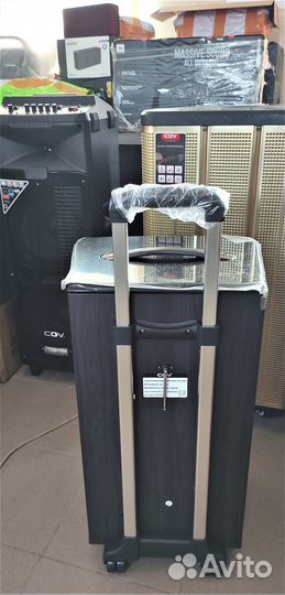 COV 612 100W (честных) Портативная акустич.система