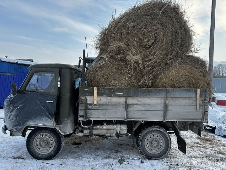 Сено в рулонах 2023 года