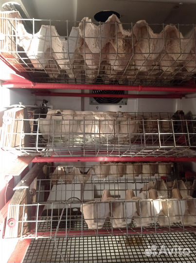 Инкубатор для яиц