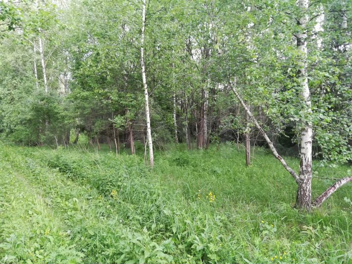 Участок 9 сот. (ИЖС)