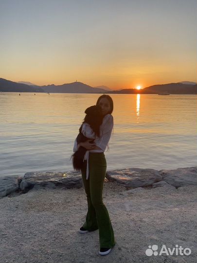 Репетитор из Европы (английский язык)