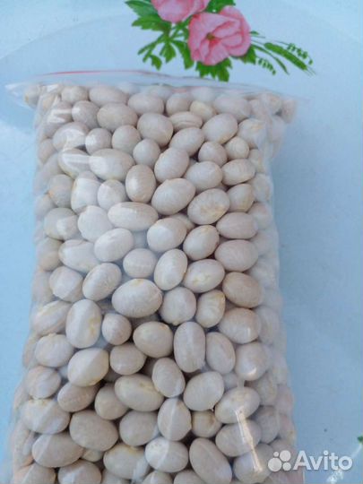 Фасоль семенная кустовая