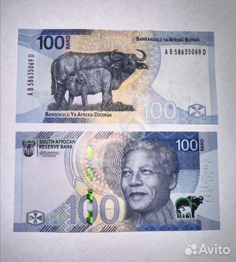 Rand 100