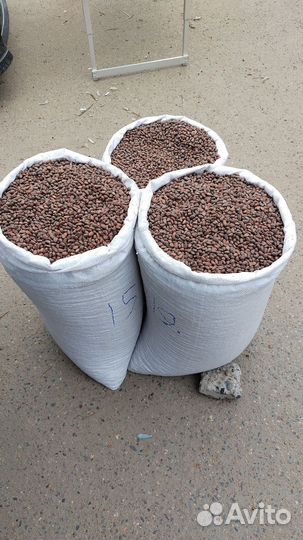 Кедровый орех