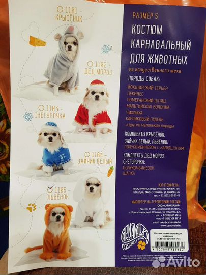 Костюм львёнка