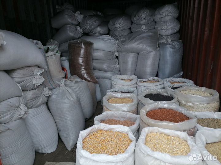 Корма для птиц