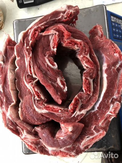 Мясо говядина