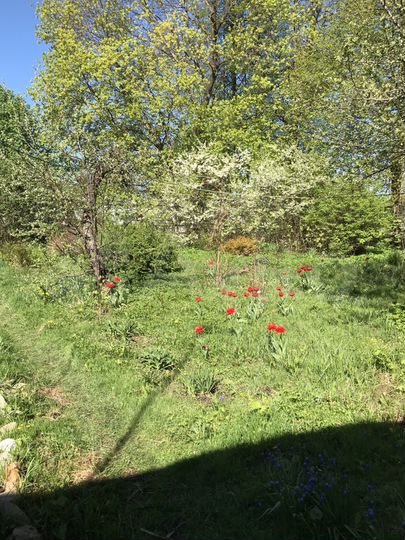 Участок 10,5 сот. (ИЖС)