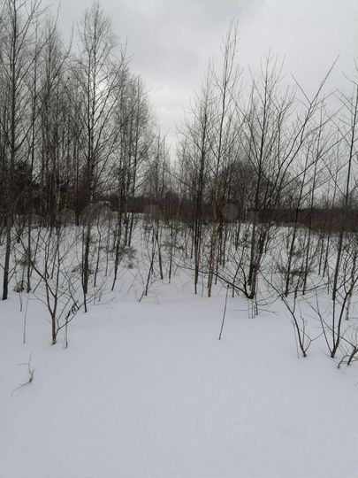 Участок 10 сот. (СНТ, ДНП)