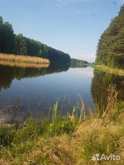Ремонт бензоинструмента