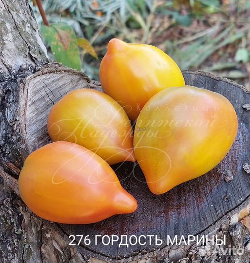 Семена томатов