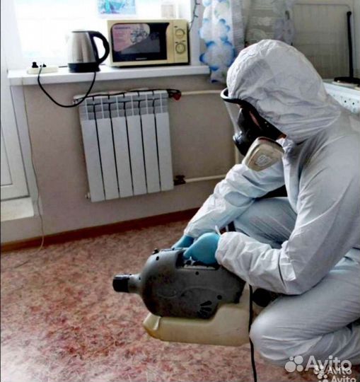 Уничтожение клопов тараканов блох мышей муравьев